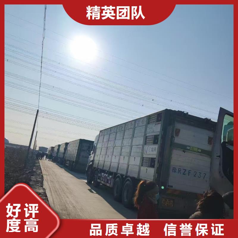 泰安至农牧物流行业领先诚信商家