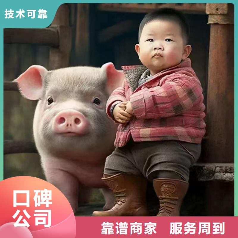 泗洪县到农牧运输全程呵护源头把关放心选购