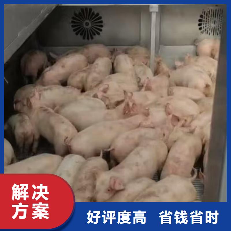 宿迁到空调车运输无忧专注细节更放心