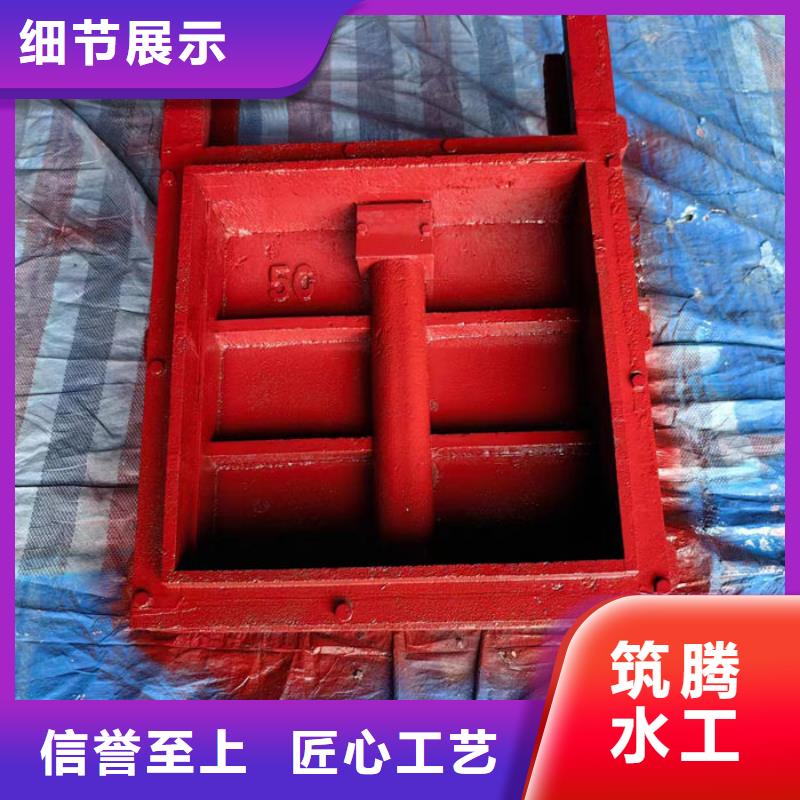 泵站铸铁闸门工厂直供本地公司