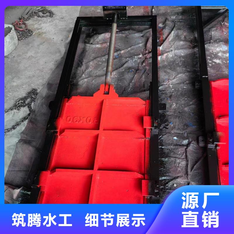 拱形铸铁闸门真诚合作同城供应商
