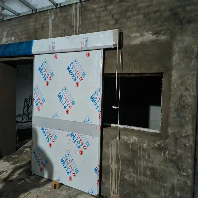 买手动铅门选择实体厂家