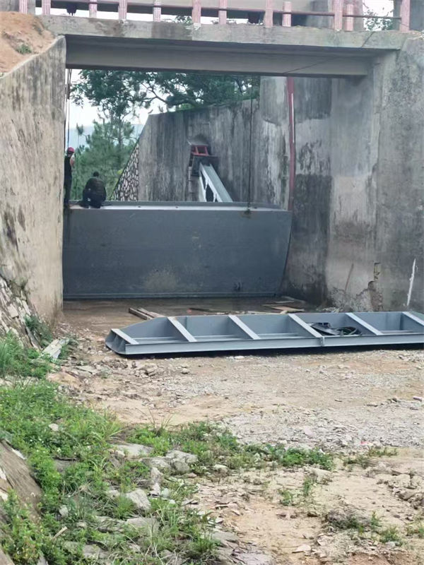 钢坝闸门钢制拍门供您所需