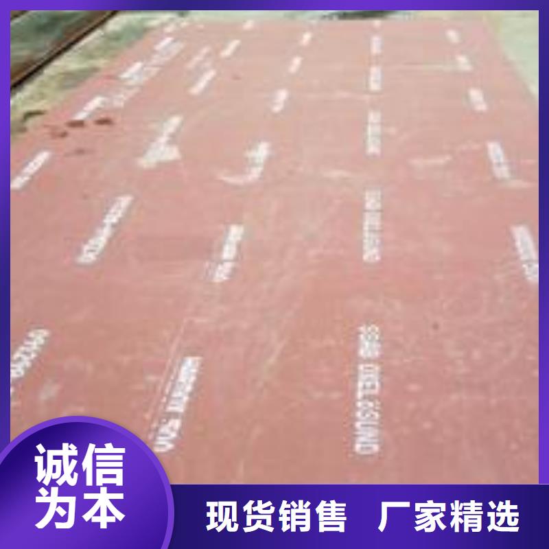 耐磨板保障厂家实力雄厚