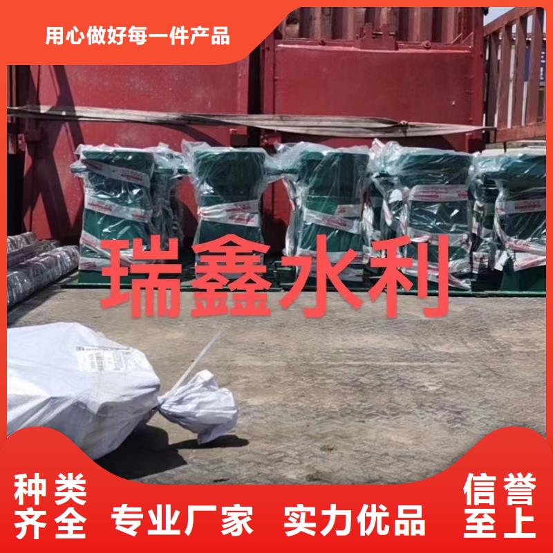 启闭机PGZ铸铁闸门支持定制加工本地厂家