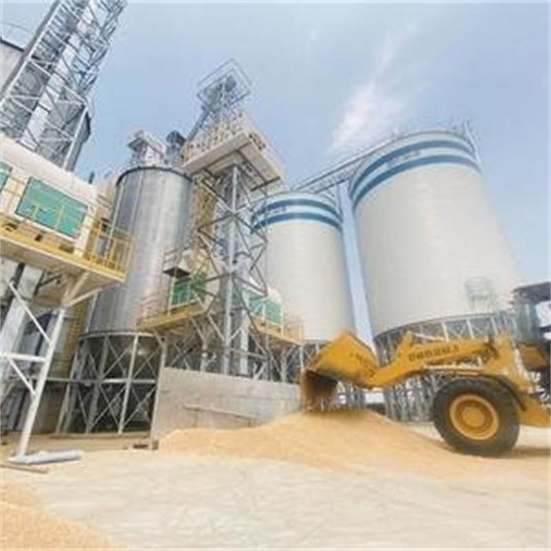 装配式粮仓粮食平底仓厂家——十余年更专业
