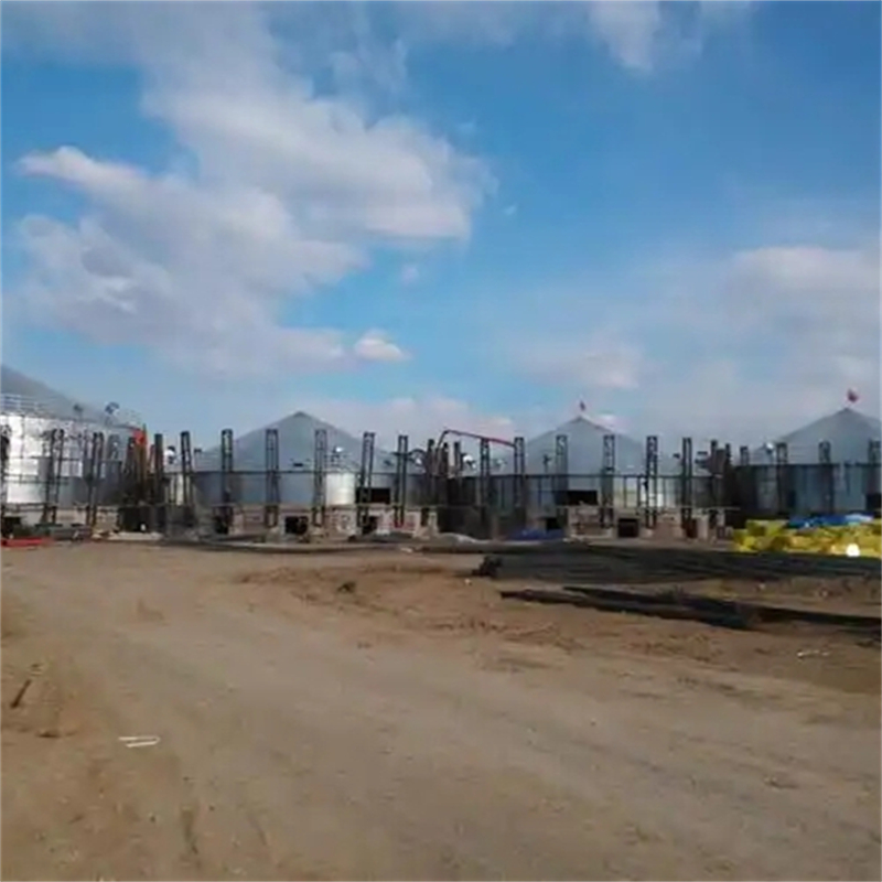600吨玉米钢板仓-600吨玉米钢板仓基地