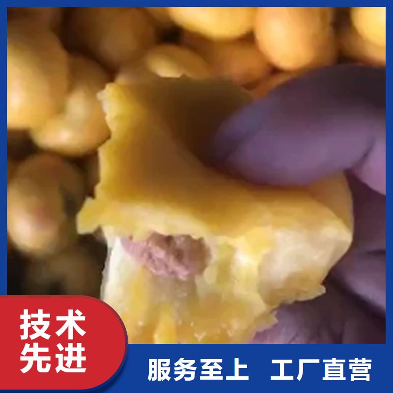 【桃】蓝莓苗可定制有保障诚信经营