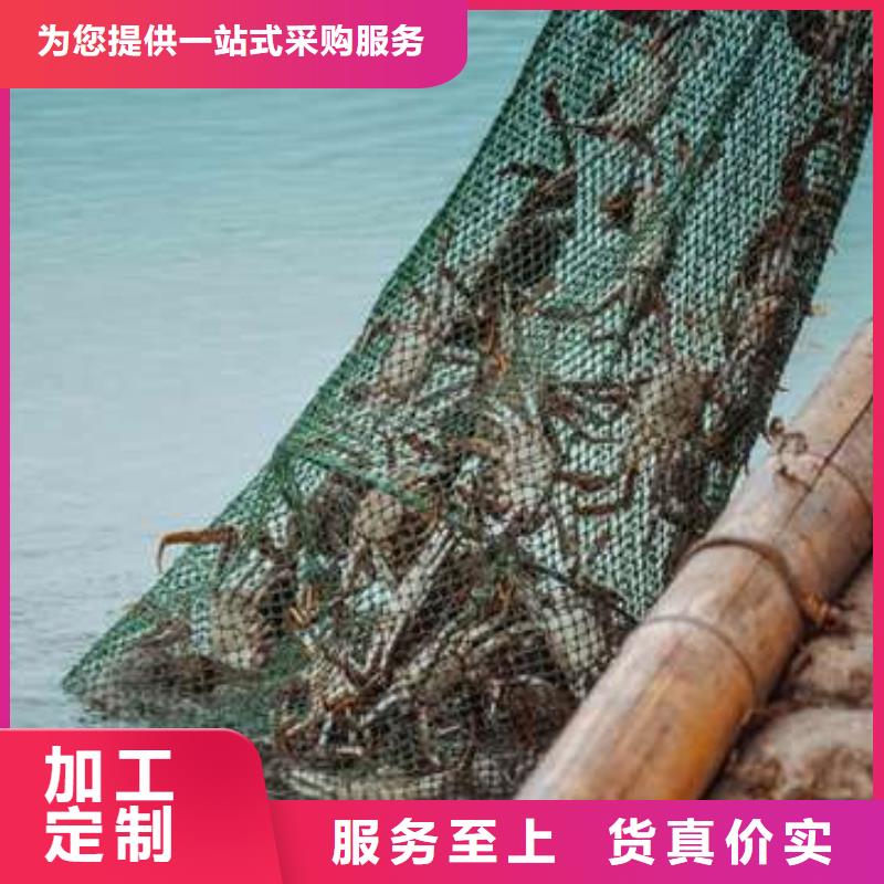 阳澄湖大闸蟹-阳澄湖大闸蟹口碑好同城品牌