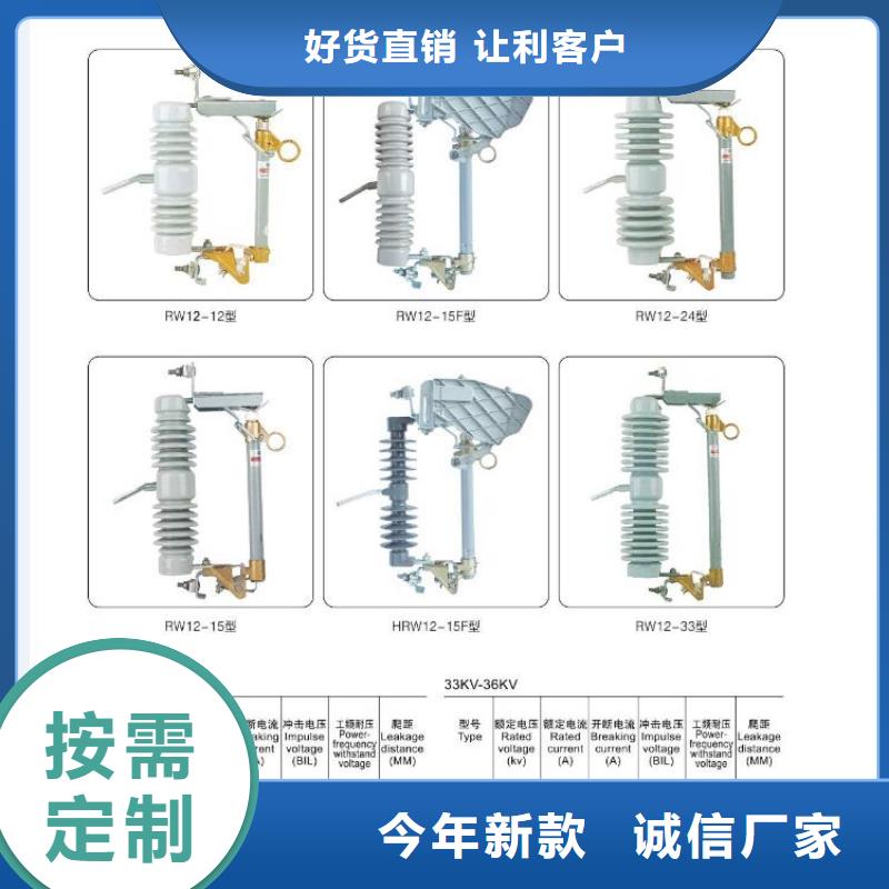 高压隔离开关【金属氧化物避雷器】量大从优附近厂家