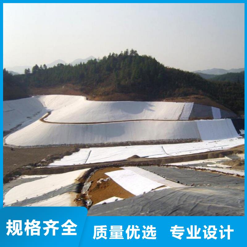 土工膜【水泥毯】出厂价好产品好服务