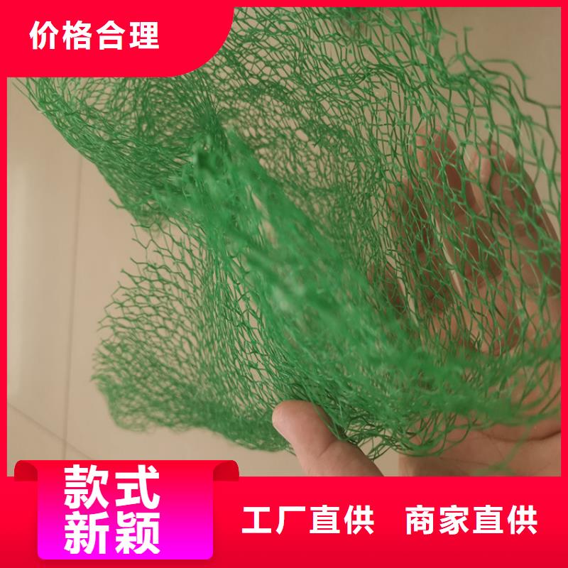 三维植被网【土工膜】品质值得信赖海量现货