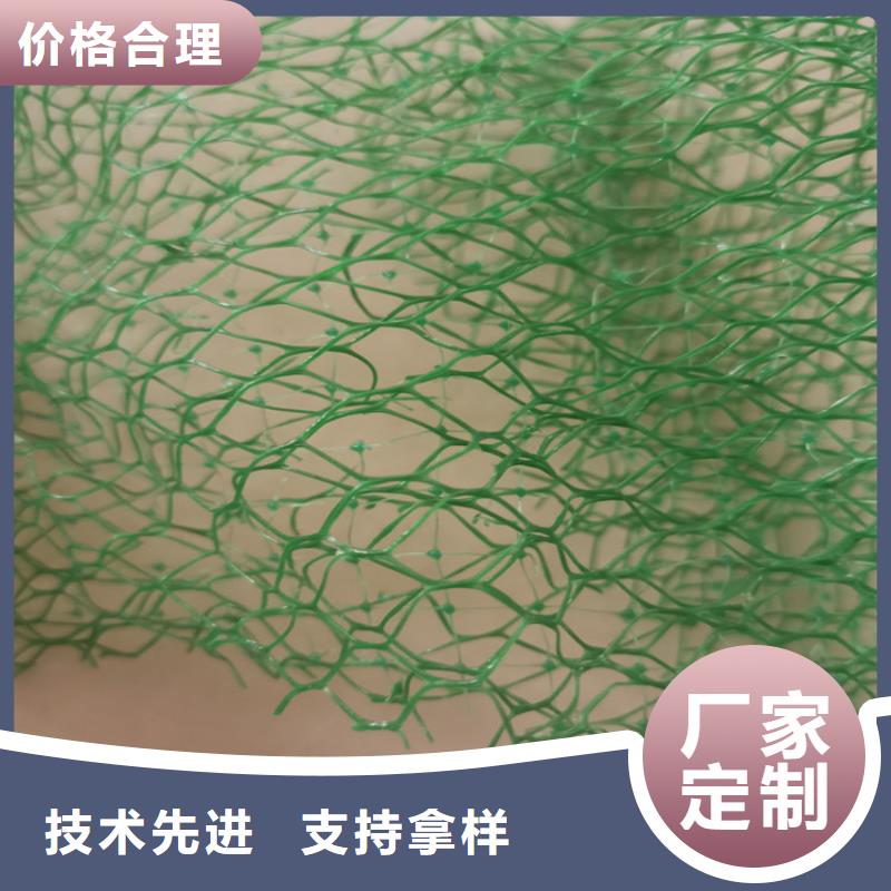 三维植被网_【防水膜】专注产品质量与服务优选厂商