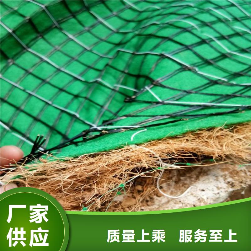 椰丝毯HDPE土工膜优势自产自销