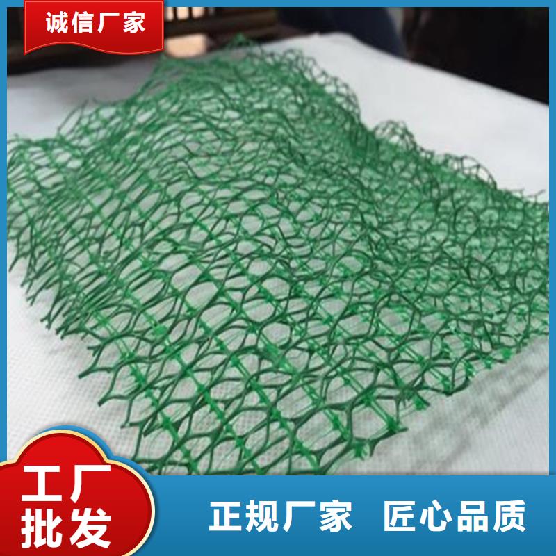 三维植被网土工布诚信为本同城制造商