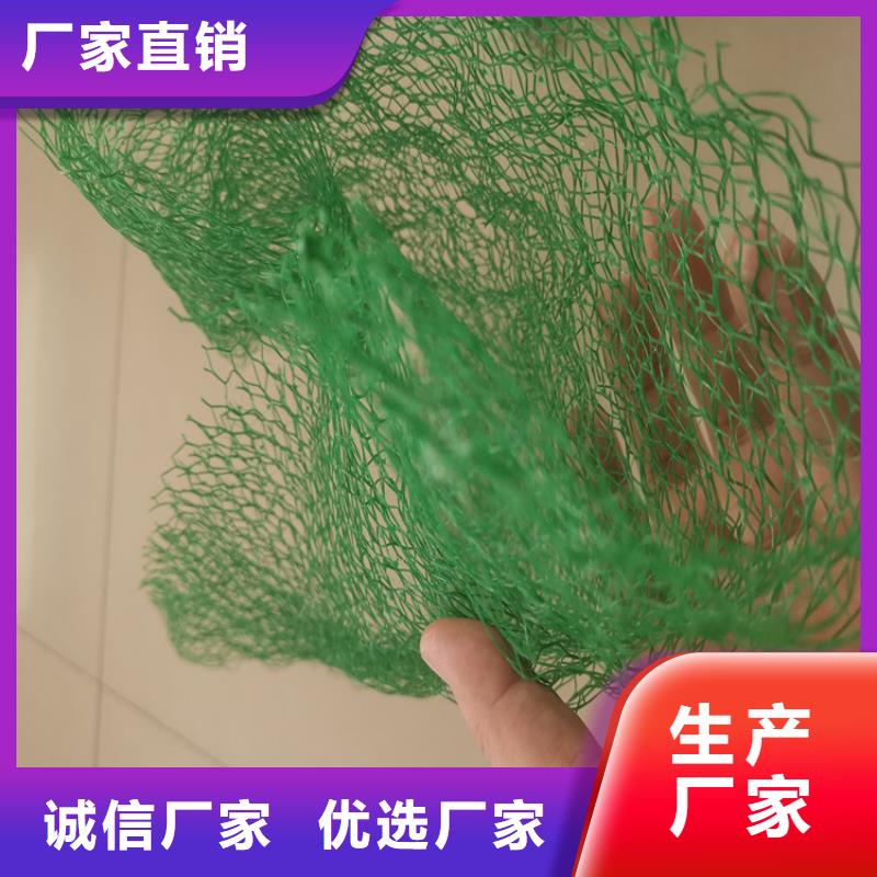 三维植被网土工膜工厂直营同城生产商