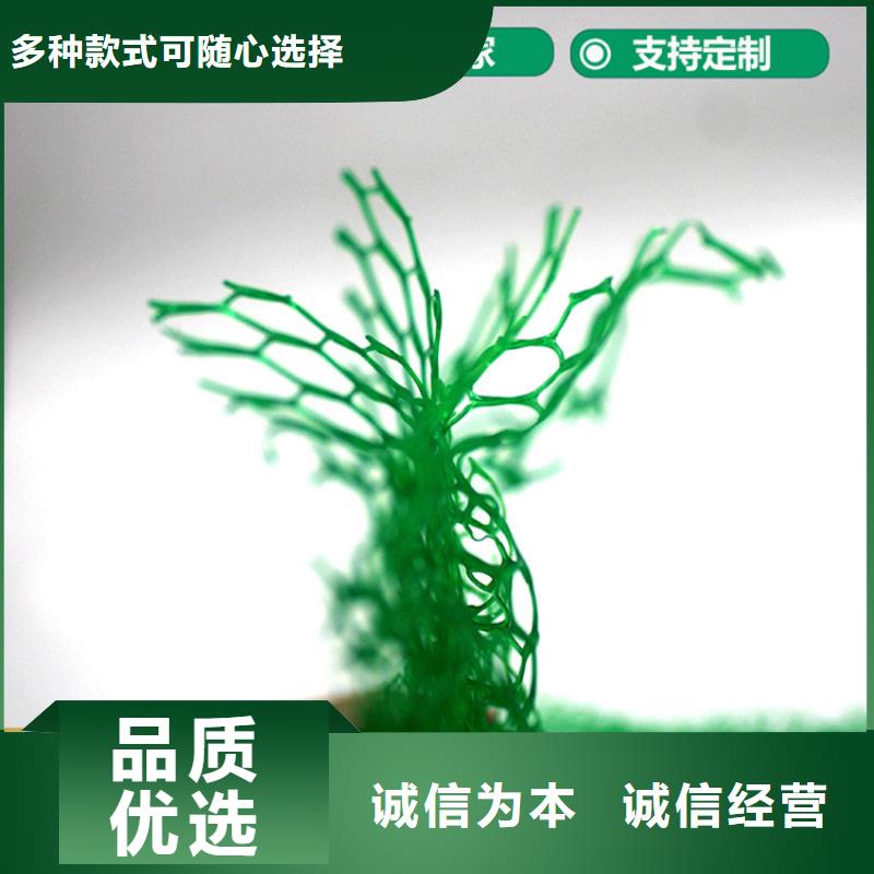 【三维植被网】-防水板海量现货当地制造商