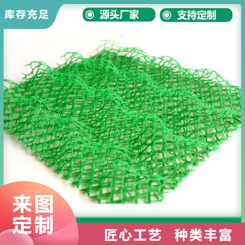三维植被网土工格栅质检严格多年行业积累