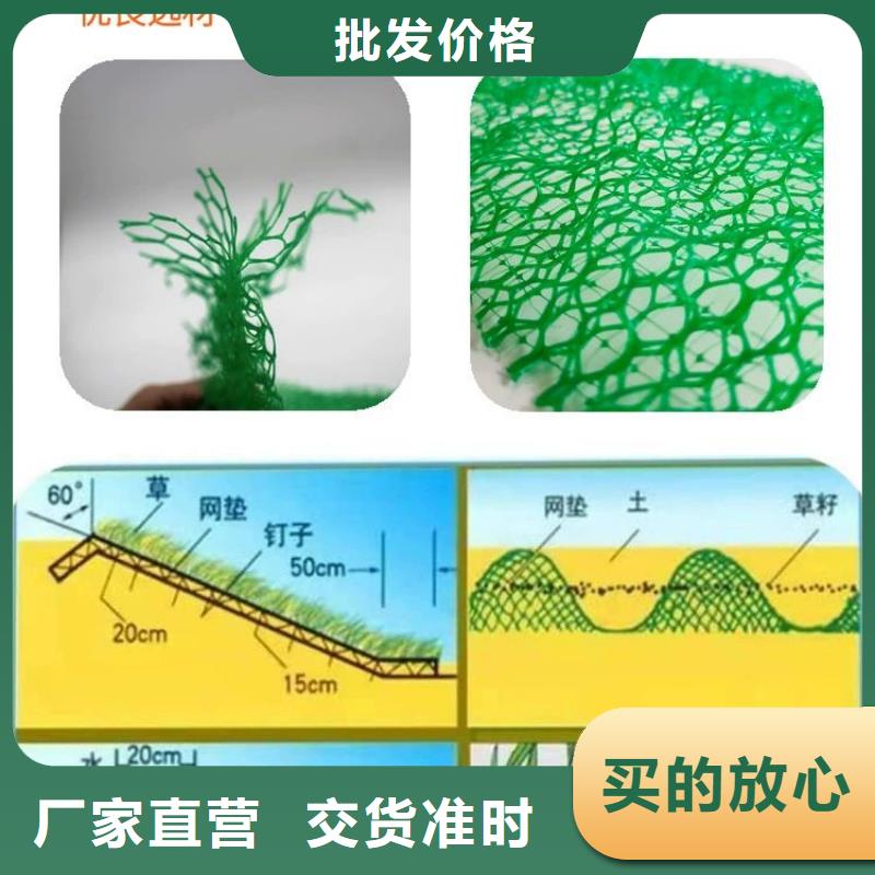 三维植被网【聚丙烯纤维】源头厂家来图定制定制定做