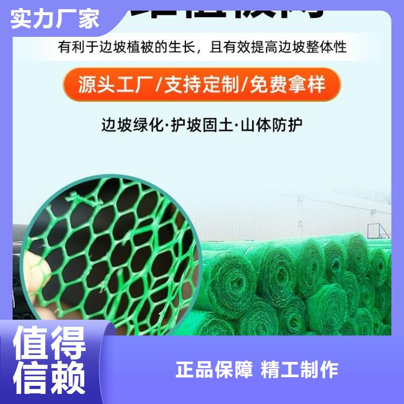 三维植被网铜止水生产厂家专心专注专业用品质赢得客户信赖