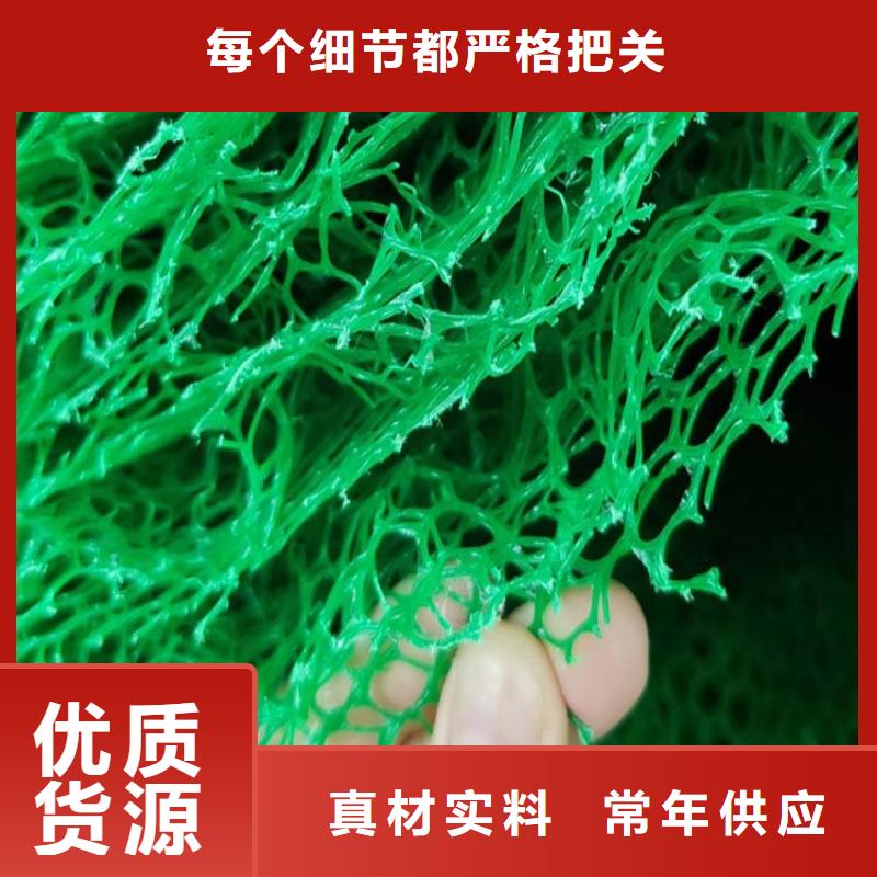 三维植被网【止水铜片】买的放心当地厂家值得信赖