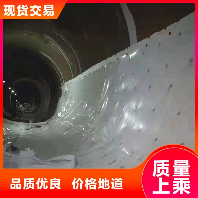 【防水板土工格栅生产经验丰富】就近发货