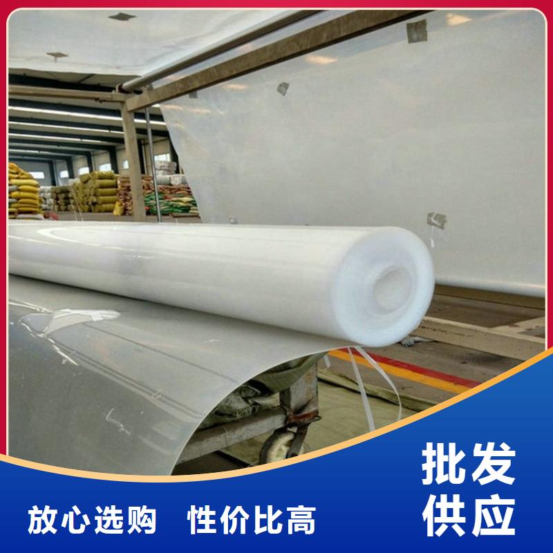 防水板土工膜定金锁价快速生产