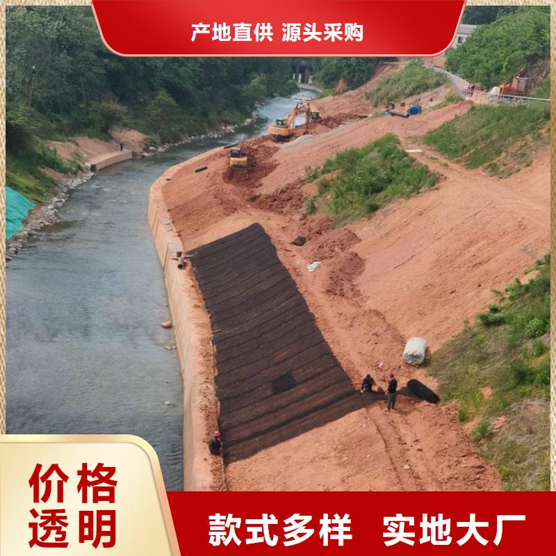 水土保护毯聚酯玻纤布一站式供应工程施工案例