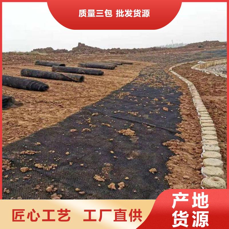 水土保护毯拉筋带快捷物流好品质经得住考验