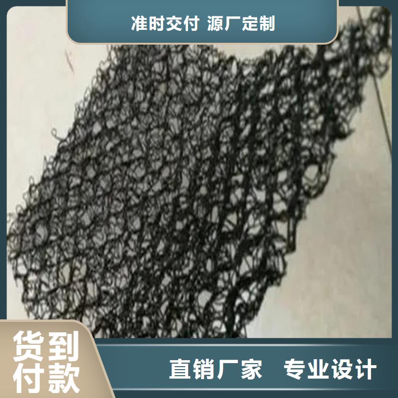 水土保护毯-硬式透水管厂家工艺先进同城服务商