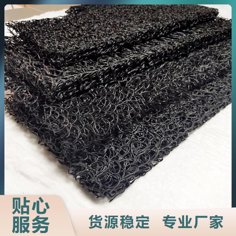 土工席垫_三维植被网现货充足同城品牌