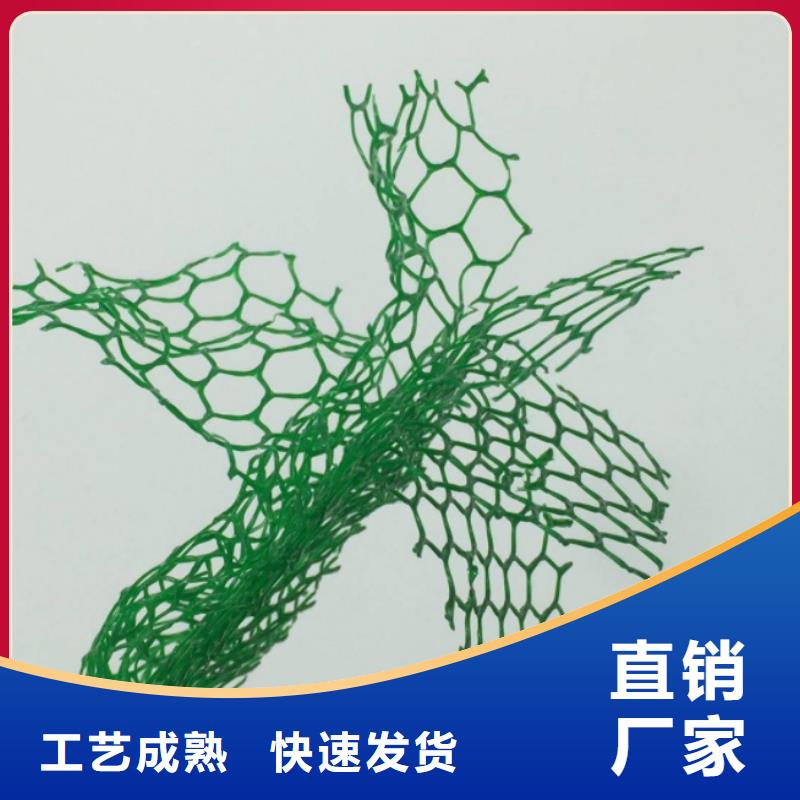 三维植被网批发价多少高质量高信誉