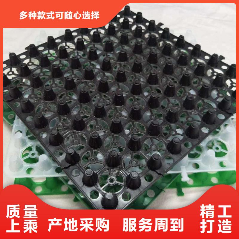 南京塑料疏水板-生产厂家