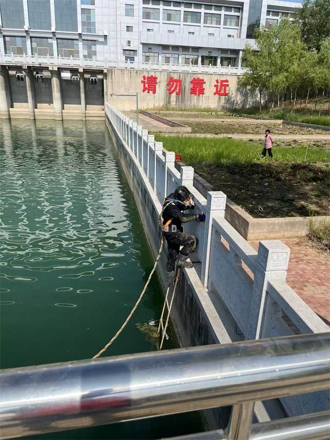 水下管道封堵<气囊水下安装堵水>-方案考虑周到完美