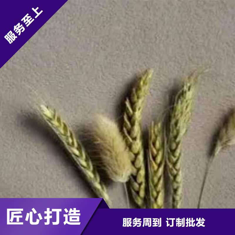 【雅晶石雅晶石艺术漆定制批发】现货齐全售后无忧