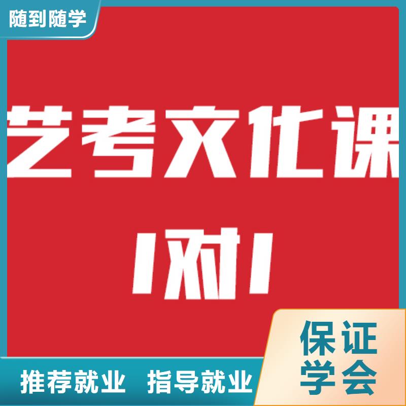 艺考文化课辅导机构哪个好双文化课教学报名优惠