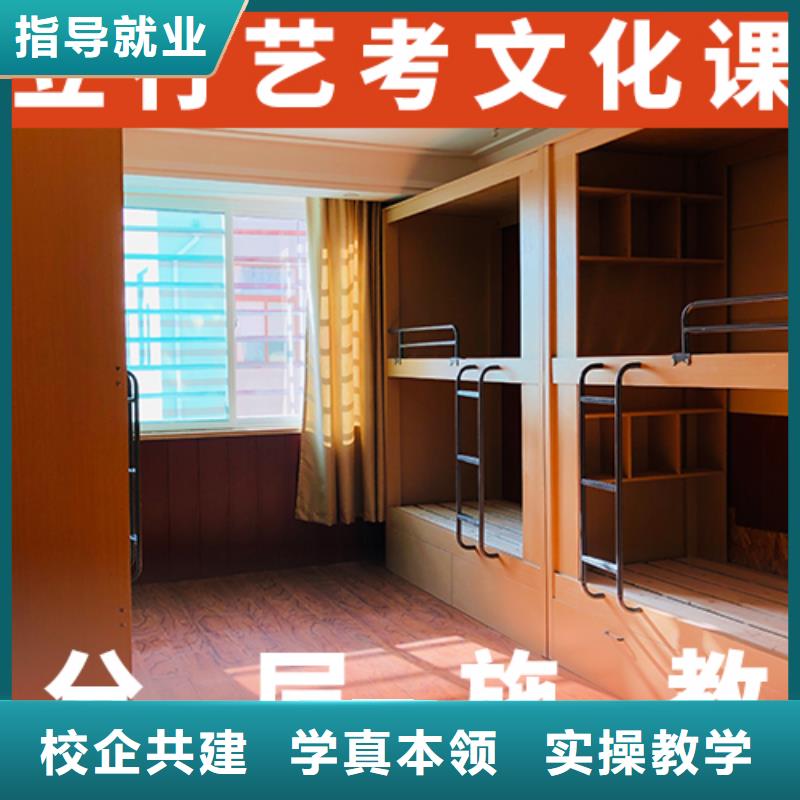 【艺考生文化课高考冲刺全年制理论+实操】当地货源