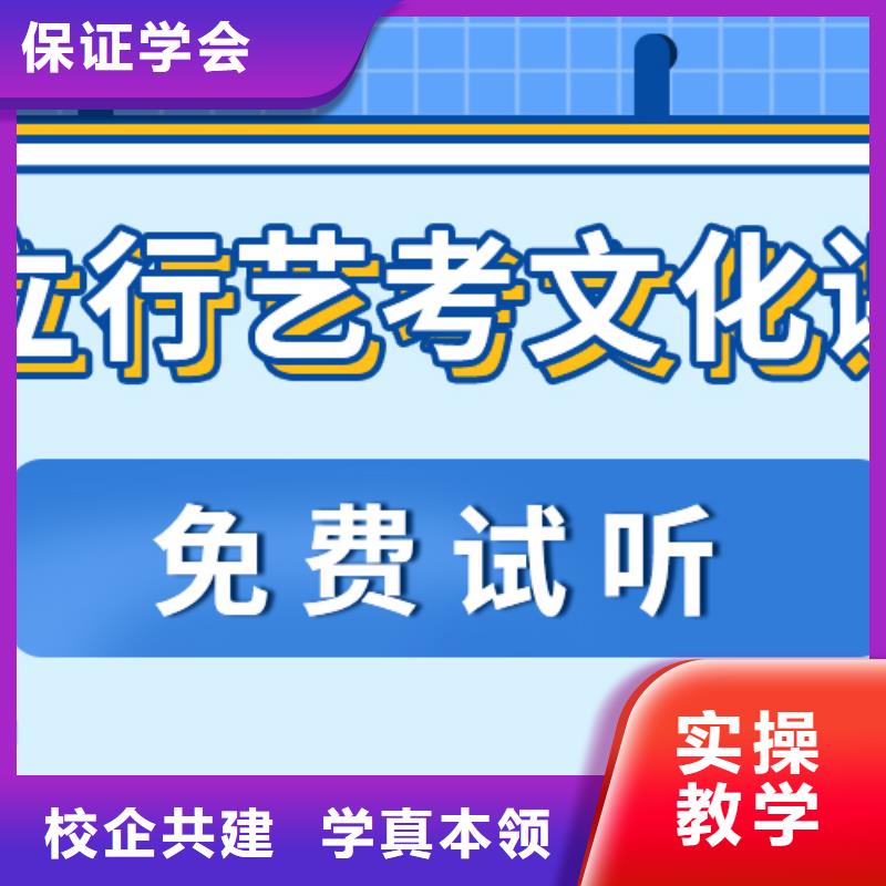 艺术生文化课辅导能不能行？当地供应商