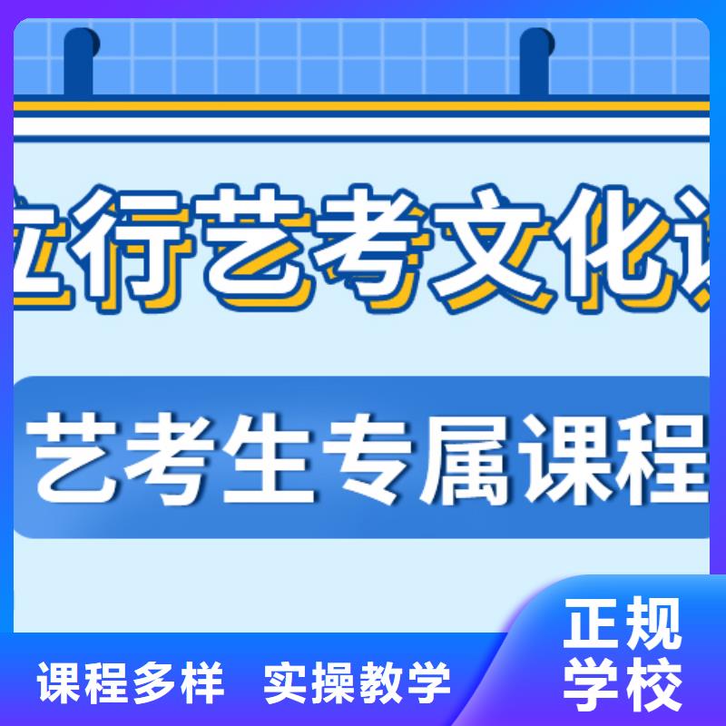 艺术生文化课辅导机构哪家做的比较好？课程多样