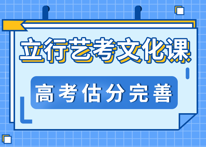 艺术生文化课集训老师怎么样？当地生产商